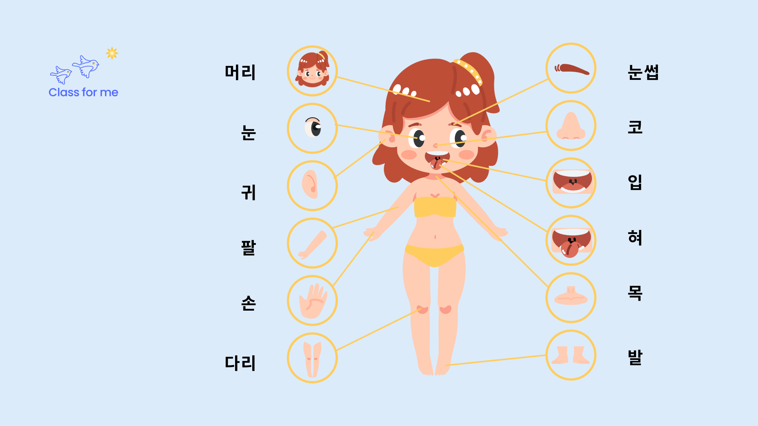 Từ vựng tiếng Hàn thông dụng về bộ phận cơ thể